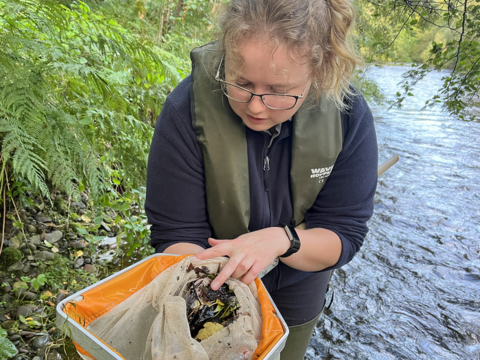 Biologist Suzanne Taylor with her river sample