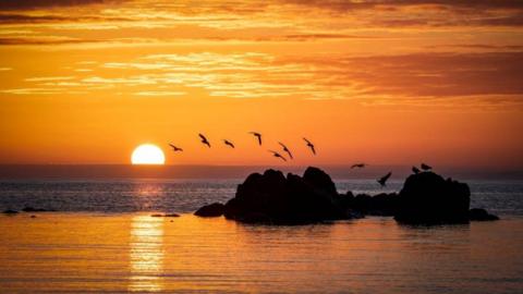 A flock of seagulls fly over a pile of rocks at sunset. The sea around the rocks is very calm and the sky is a deep orange. The sun is dropping below the horizon.