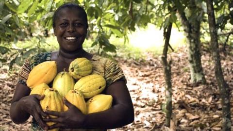 Woman holding cocoa pods