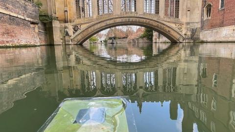 Floating artificial leaf on the River Cam near St John's College, Cambridge