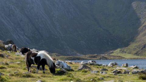 ger Llyn Idwal, Cwm Idwal