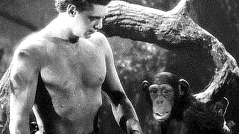 Tarzan