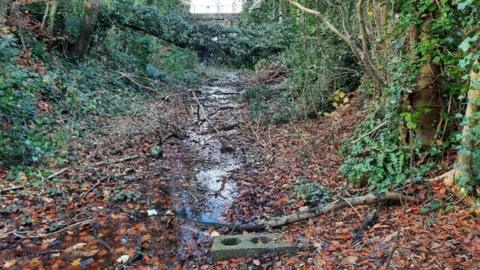 Railway path Shepton Mallett