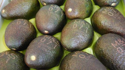 Laser tagged avocados