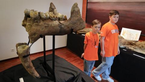 Two German boys and the ancient bones of a prehistoric elephant