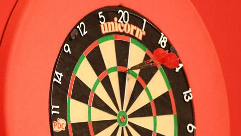 A general image of a darts board