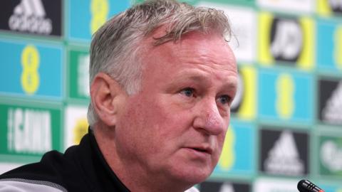 Northern Ireland manager Michael O'Neill