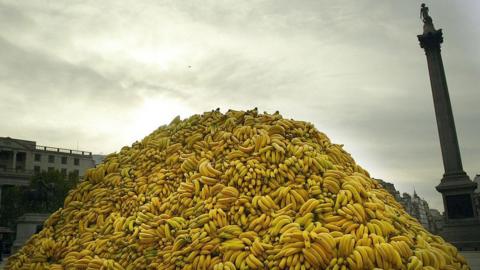 A large heap of bananas was dumped as part of an art exhibition in Trafalgar Square, 2004
