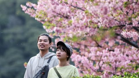 Two people in front of a Kawazu cherry blossom tree in Tokyo's Sumida district on 11 March, 2024.