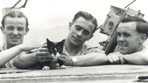 Simon the cat awarded a Dickin Medal in 1949