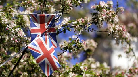 Union Flags in tree