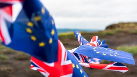 British and EU flags