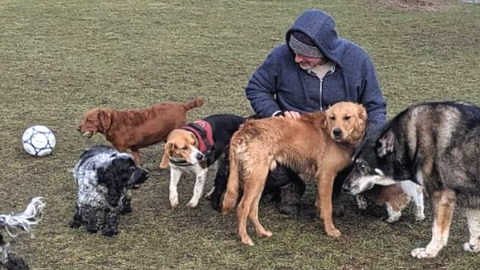 Jason Dean, owner of The Dog Play Co.