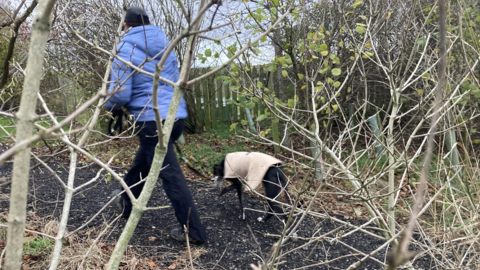 A woman dressed in a blue winter coat and hat walks a black greyhound dog, which is wearing a dog coat. The picture is taken from behind trees.