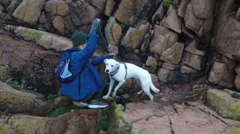 A woman with a blue coat holds a lead around a white dog perched on rocks.