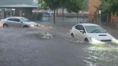 Sydney flooding