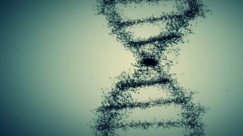 DNA graphic