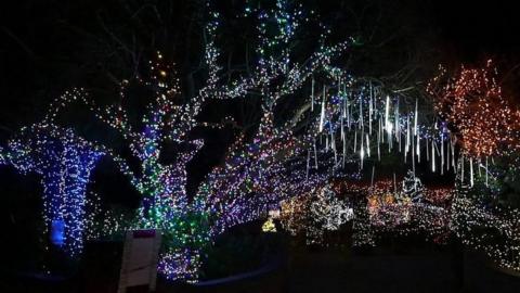 Christmas lights in Wivenhoe, Essex