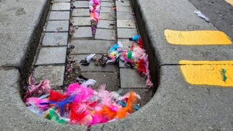 Feathers left in Cardiff after a Harry Styles concert