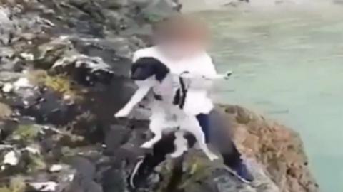 boy holding dog on edge of cliff