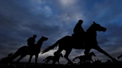 Race at Cheltenham Festival