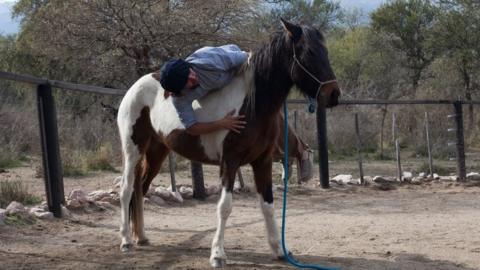 Cristobal (Oscar's oldest son) in the farmyard with a horse