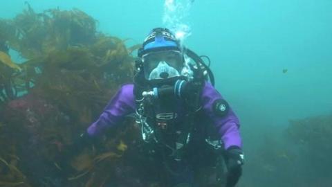 Diving off Lundy