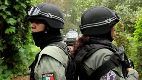 Security patrolling an avocado farm.