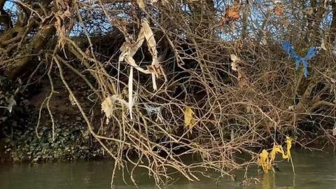 Plastic and debris caught in the trees hanging over the River Avon