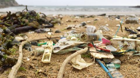 Plastic waste on beach