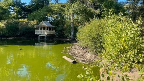 Saumerez Park pond