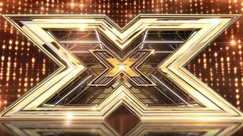 Image of X Factor
