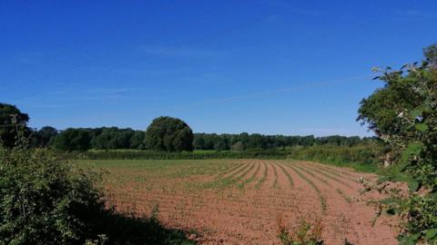 Blue skies over a dry, brown field in Bodenham, Herefordshire. Picture by BBC Weather Watcher 'Step Counter'.