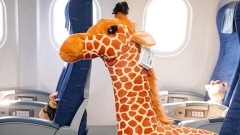 Toy giraffe on plane
