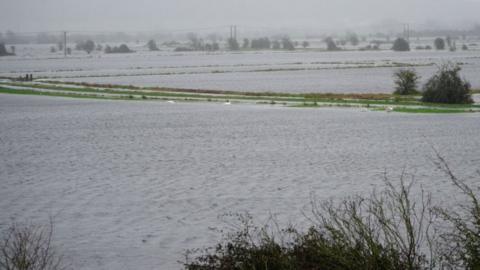 Flooded fields