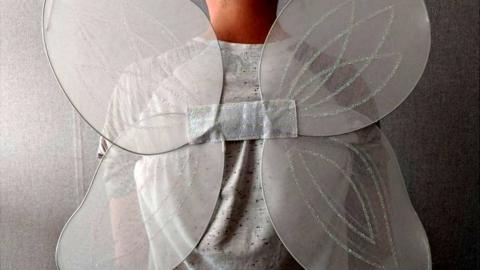 Man wearing fairy wings - generic