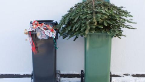 Wheelie bins with Christmas wrapping paper and a dead tree