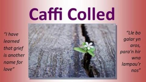 poster caffi colled