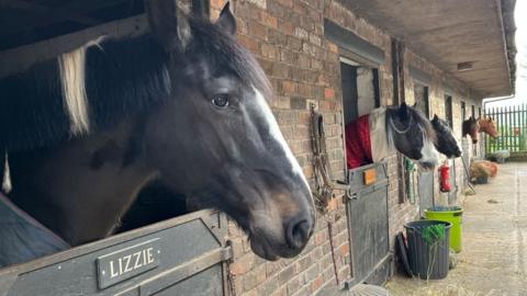 Stables at Gelling Riding School