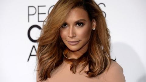 Actress Naya Rivera pictured in 2014