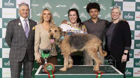 Diesel, his owner Claire, and judges at Crufts