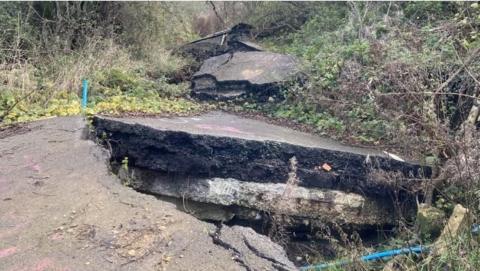 Chunks of broken up road completely lifted and covered in vegetation