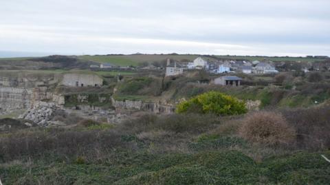 General view of Coombefield Quarry