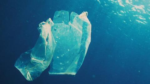 Plastic bag floating in the ocean