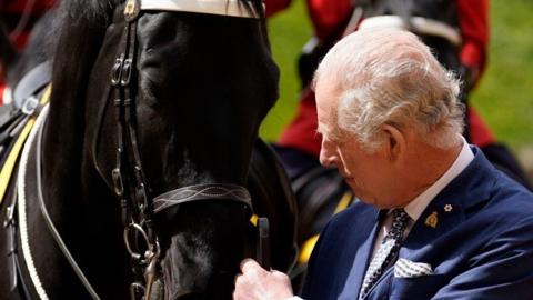 King Charles III after he was officially presented with 'Noble', a horse given