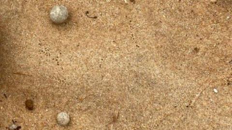 Two small grey balls in sand.