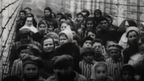 The Calgarth estate was home to 300 children escaping the holocaust and is being excavated.