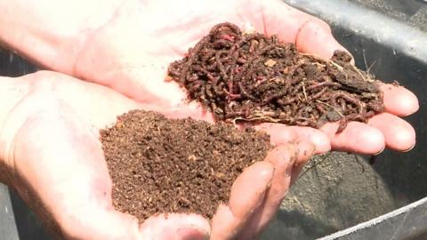 Handfuls of soil and earthworms