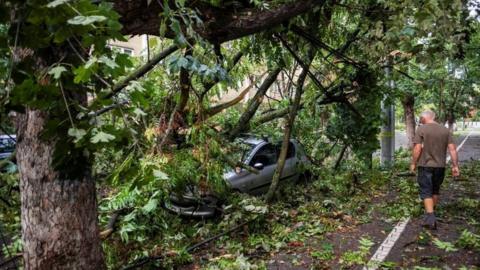 A man walks near a car hit by a falling tree following a storm in Timsoara, western Romania. Photo: 17 September 2017