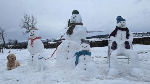 Snowmen in Derrylin